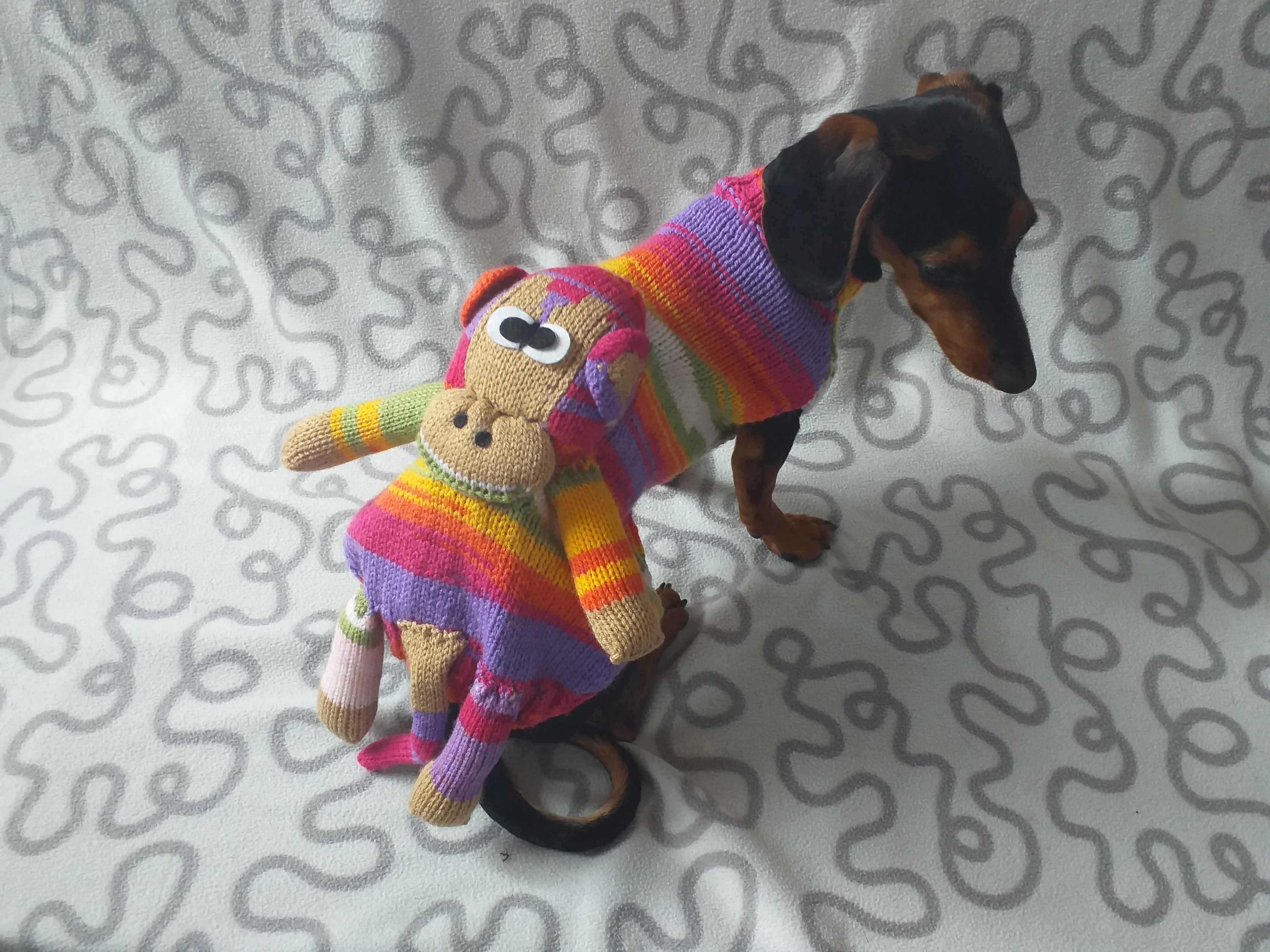 Pet clothes costume with toy monkey, dog sweater monkey, jumper for dachshund monkey