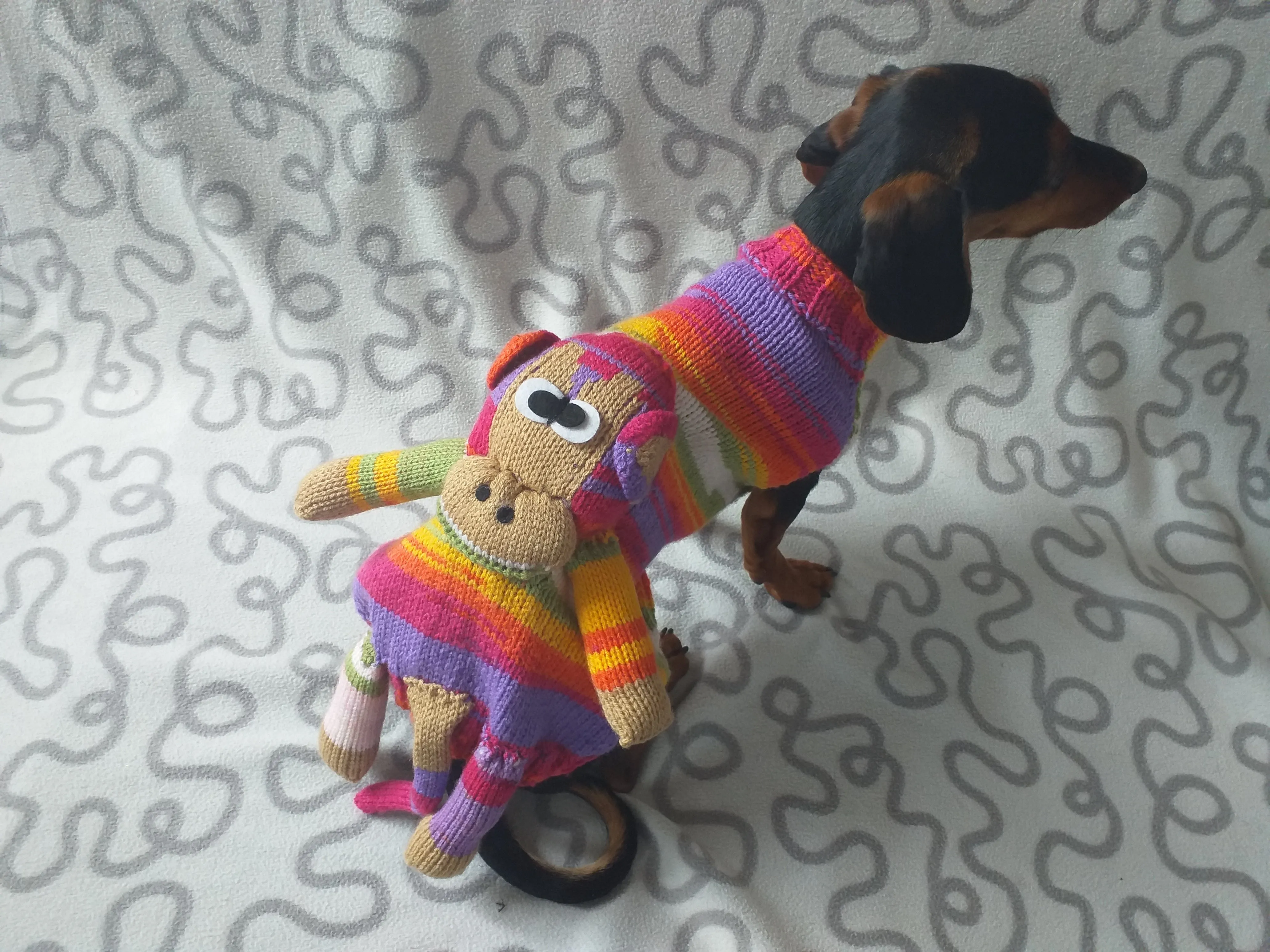 Pet clothes costume with toy monkey, dog sweater monkey, jumper for dachshund monkey