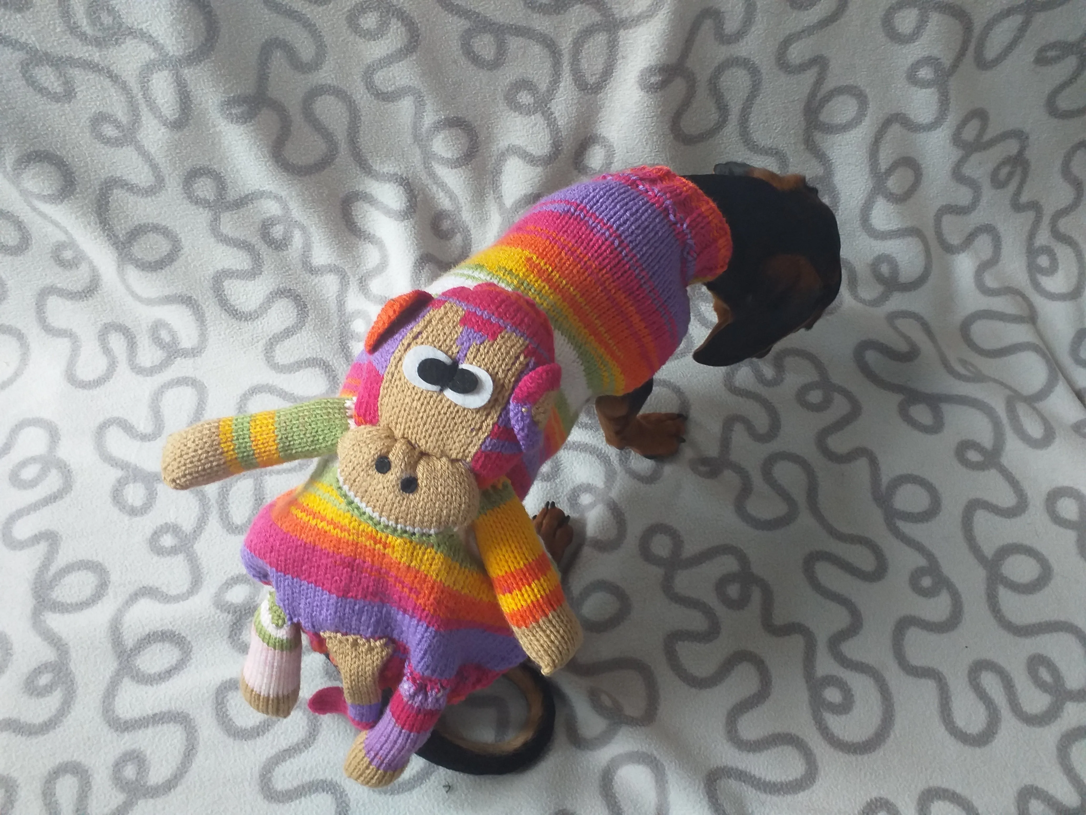 Pet clothes costume with toy monkey, dog sweater monkey, jumper for dachshund monkey